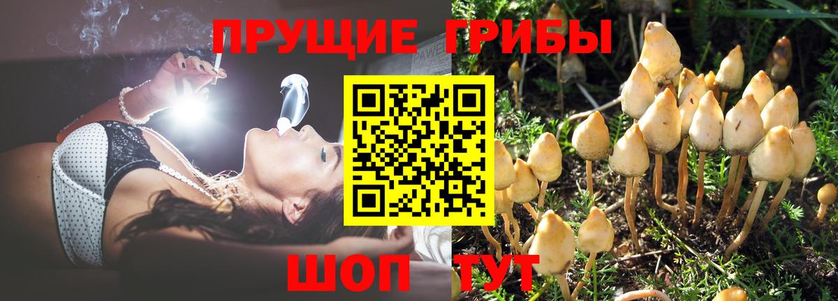 Галлюциногенные грибы Psilocybe  Вход с VPN  Дзержинск 