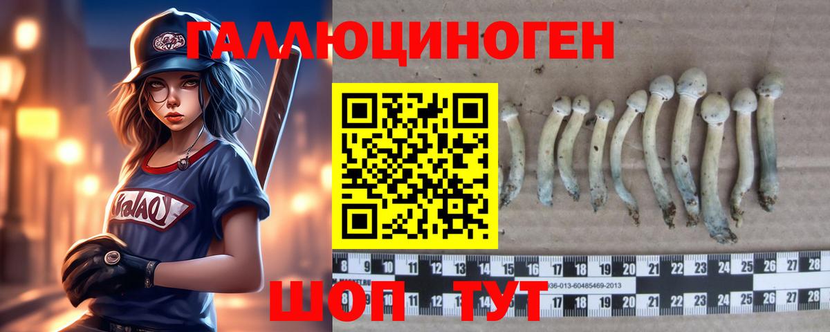 Галлюциногенные грибы GOLDEN TEACHER Дзержинск